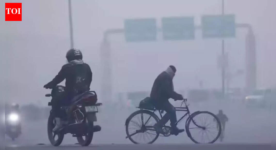 Delhi's coldest morning in 3 years as Safdarjung logs 3 degrees Celsius