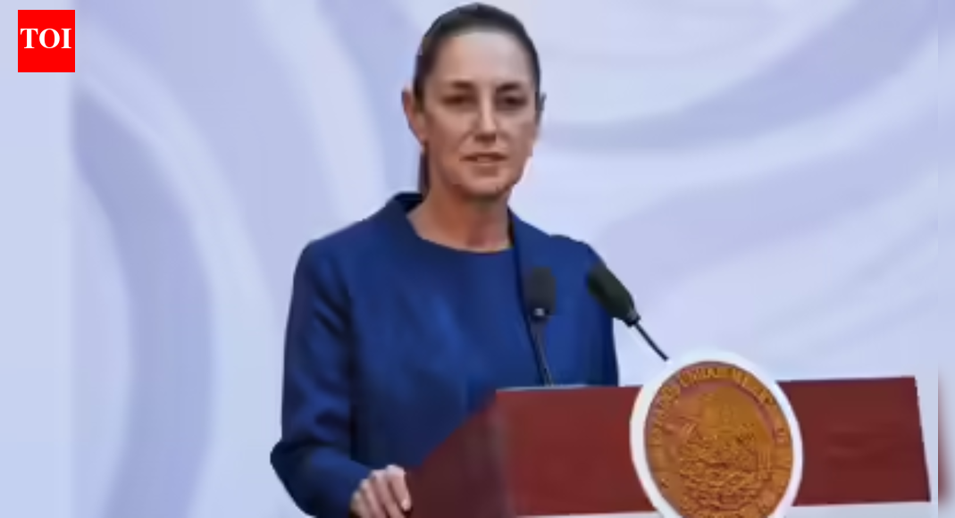 Mexico opposes intervention by US military on cartels