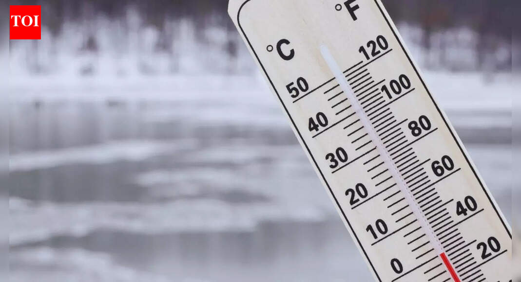 What’s the weather today: IMD forecast severe winter conditions in north India, heavy rain in south
