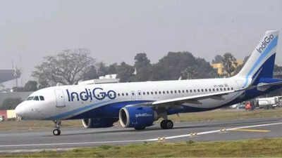 Mid-air scare: Bird strike forces Bengaluru-bound IndiGo flight to land in Varanasi