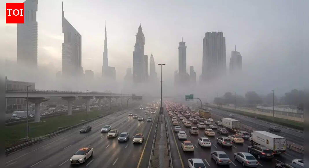 UAE issues weather alert as dense fog causes traffic delays in Abu Dhabi, Dubai and Sharjah