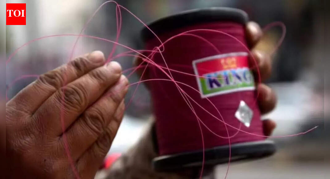 Chinese manja injures police officer and woman in Hyderabad