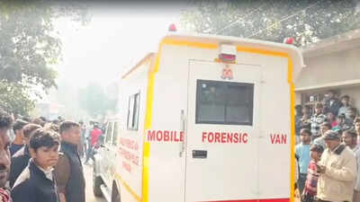 Screams, smashed skulls, flying flesh: Labourer descends into psychosis, kills wife and mother; cannibal horror stuns UP village