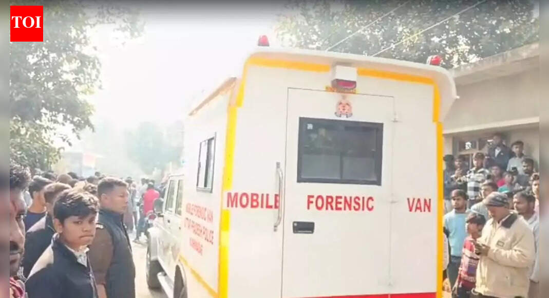 Screams, smashed skulls, flying flesh: Labourer descends into psychosis, kills wife and mother; cannibal horror stuns UP village