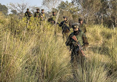 Major crackdown: Five J&K govt employees sacked over 'terror links'; one was in 'regular contact' with top LeT commander