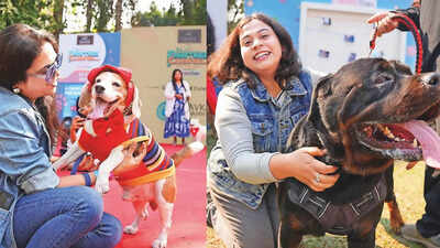 Tails, whiskers, paws and more: A day out for pets  and their humans