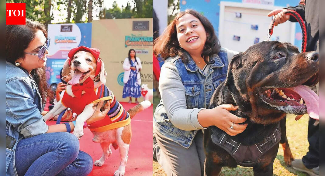 Tails, whiskers, paws and more: A day out for pets  and their humans