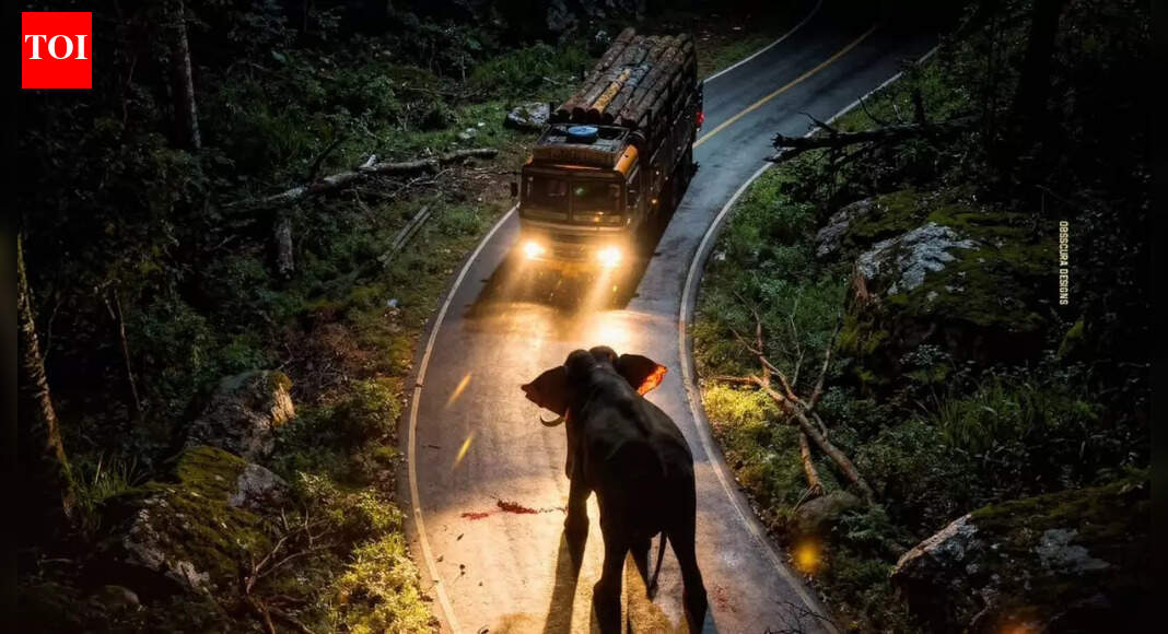 Antony Varghese starrer ‘Kattalan’ gets a release date