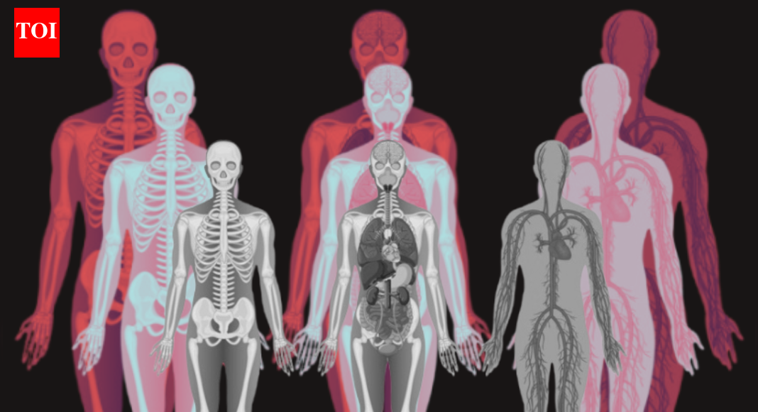 How much money is a human body worth? Inside a shocking industry turning remains into profit