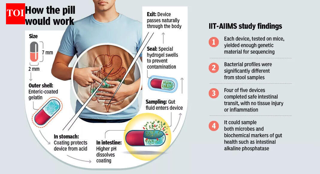 Swallow this: ‘Smart pill’ to take gut bug samples from intestine