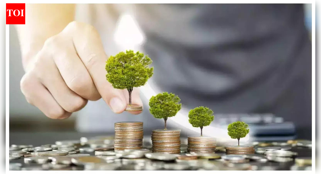 Mutual fund SIP inflows surge to Rs 3.34 lakh cr in 2025; contributions peaked in December