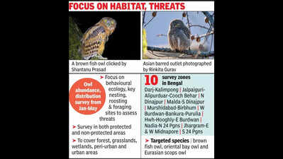 Know your nocturnal neighbour: In a first in India, Bengal goes owl-spotting