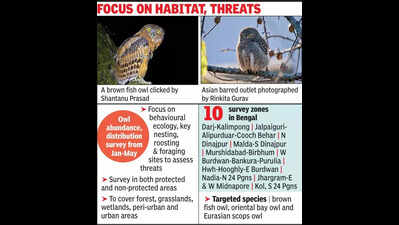 Know your nocturnal neighbour: In a first in India, Bengal goes owl-spotting