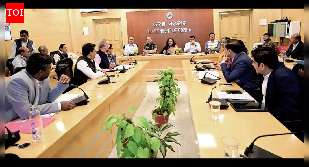 Rath Yatra: Odisha govt directs zero-error preparations after past lapses