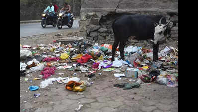 Residents flag garbage lapses, water scarcity, poor roads in Chhatrapati Sambhajinagar’s Ward 9