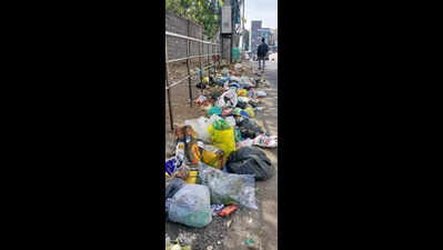 Stinking zone in Bengaluru: Kadirenahalli chokes as garbage dumps defy civic efforts