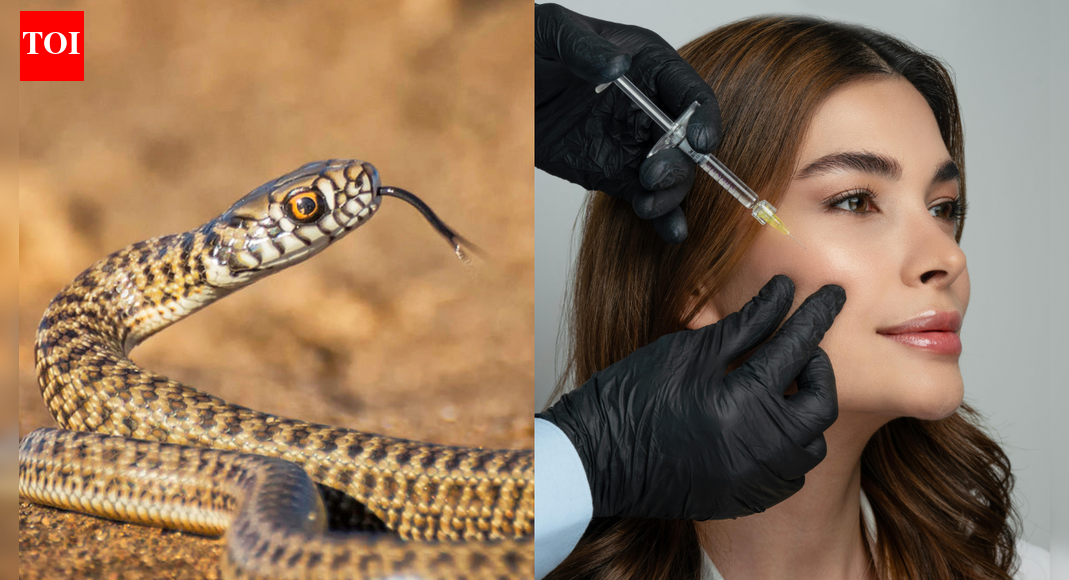 Beauty clinics to emergency rooms: Botox could help treat snakebites