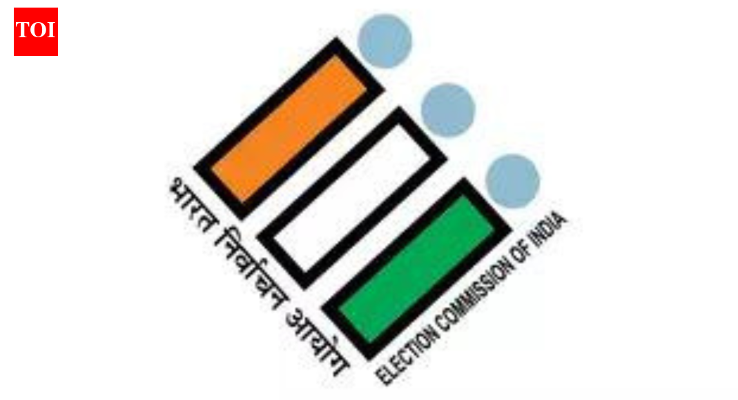 SIR scrutiny only for voter rolls, not deportation: EC