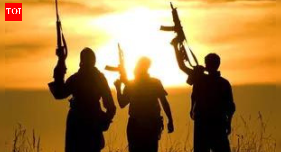 J&amp;K LG sacks 5 govt staff over links with terror outfits