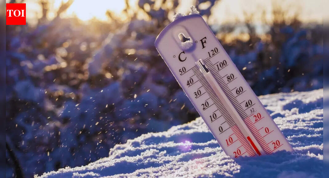 What’s the weather today: IMD forecasts prolonged cold wave and dense fog in northern states; what travellers need to know