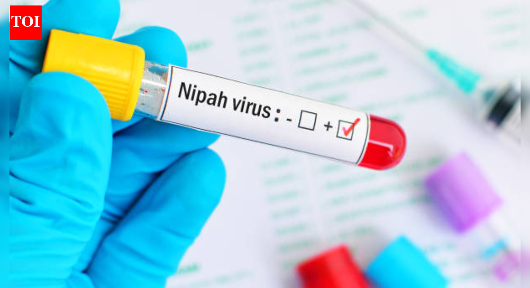 Nipah virus in India: As cases emerge from West Bengal, doctor shares dos and don'ts to stay safe