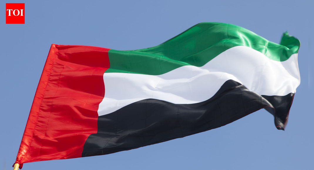 UAE backs US designation of Muslim brotherhood branches as terrorist organisations