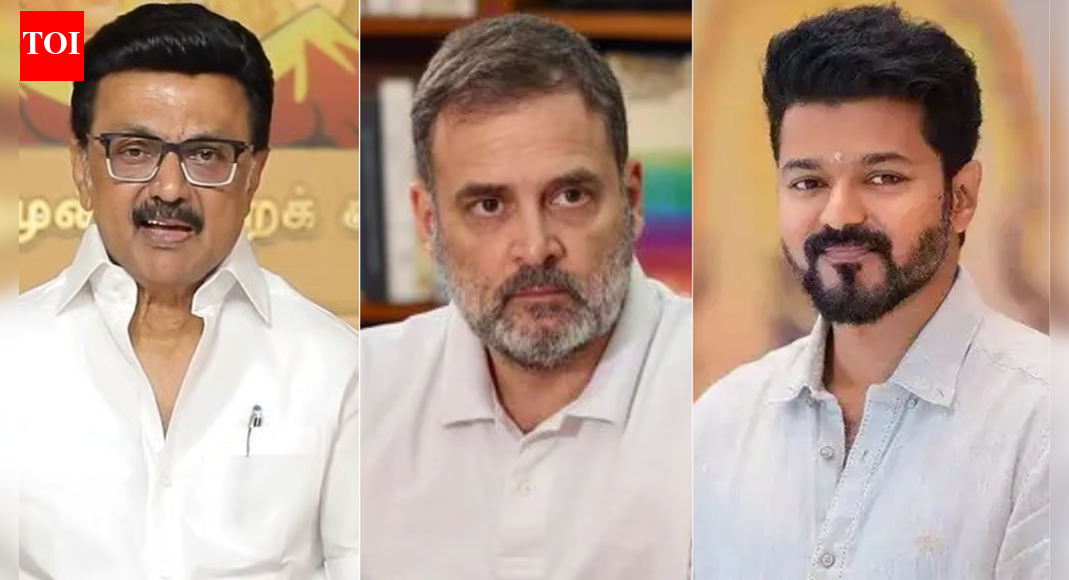 Rahul's support for Vijay’s 'Jana Nayagan': Msg to DMK or push for new coalition with TVK