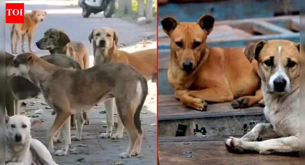 Six Sarpanches Booked in Kamareddy for Mass Killing of Stray Dogs Ahead of Elections