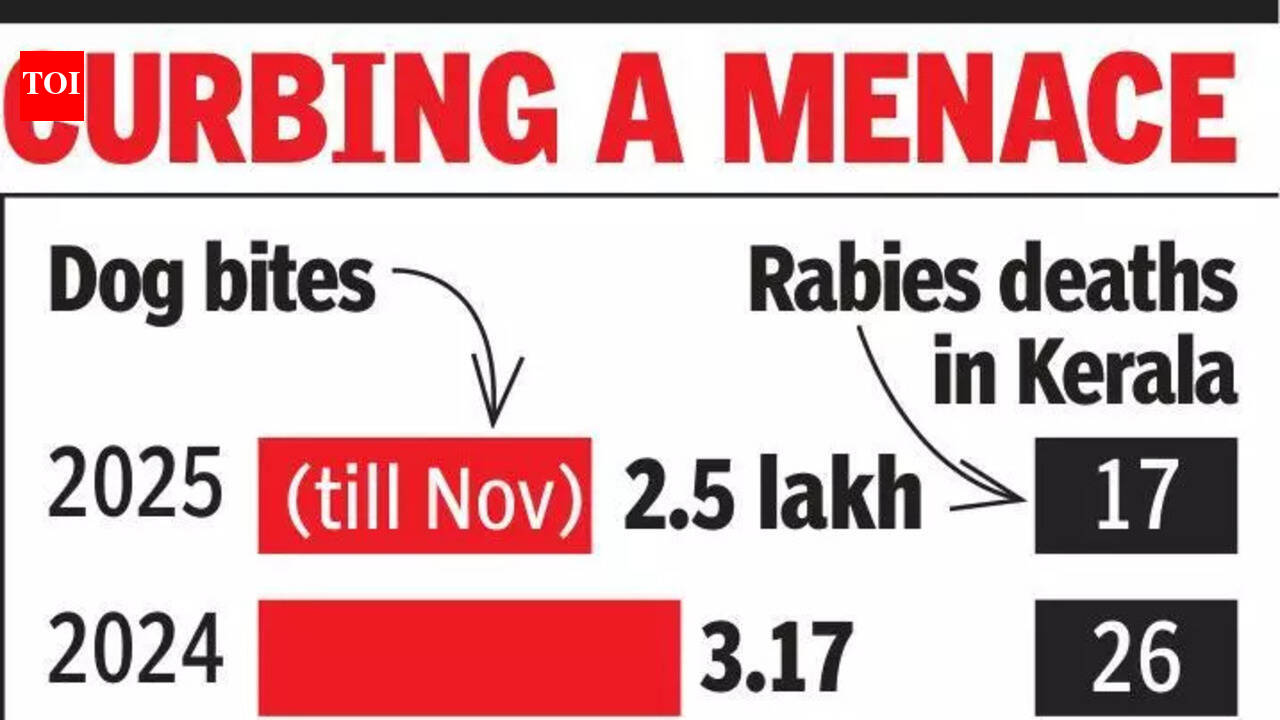 Now, dog lovers in Kerala can feed strays at ABC centres