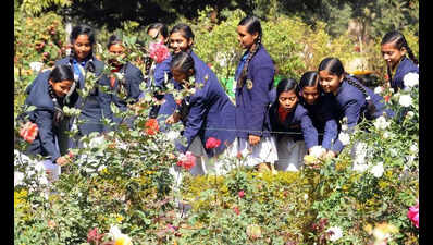 Ranchi Flower Show & Organic Products Exhibition: Promote Eco-Friendly Living
