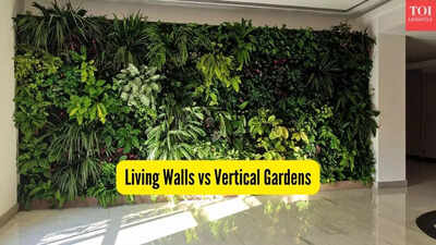 Living Walls vs Vertical Gardens: What’s the real difference, which is the best and why?