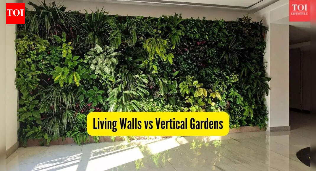 Living Walls vs Vertical Gardens: What’s the real difference, which is the best and why?