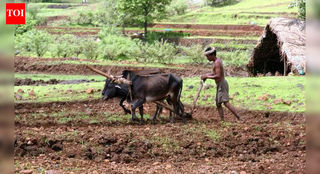 Farmer suicides in Marathwada: 1,129 deaths recorded in 2025, highest in 5 years