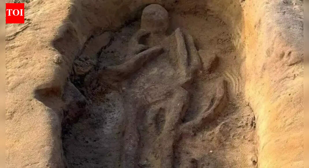 Prince buried with horse: Archaeologists find a 1,400-year-old grave mystery while digging at UK nuclear site