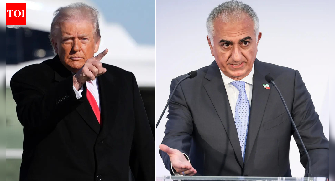 Is Reza Pahlavi the future? Trump calls ex-crown prince ‘nice person’