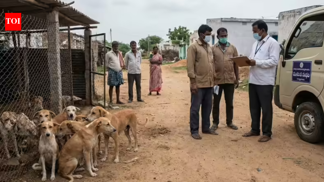 Power, promises & poison: Chilling plan that saw 7 Telangana sarpanches ...