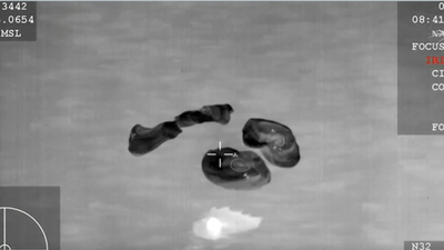  Nasa carries out first-ever medical evacuation; Crew-11 splashes down off San Diego — Watch