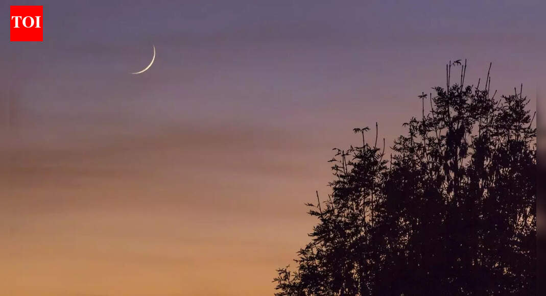 Mauni Amavasya 2026: When is Magha Amavasya? Check Date, Time and Significance