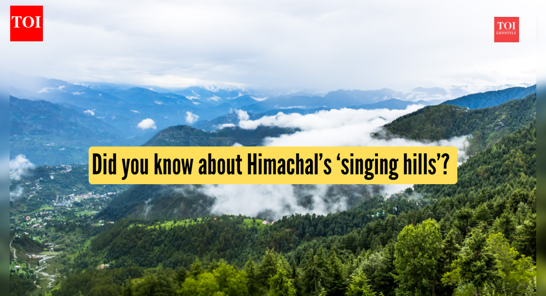 Did you know about Himachal’s ‘singing hills’? Here’s where to find them