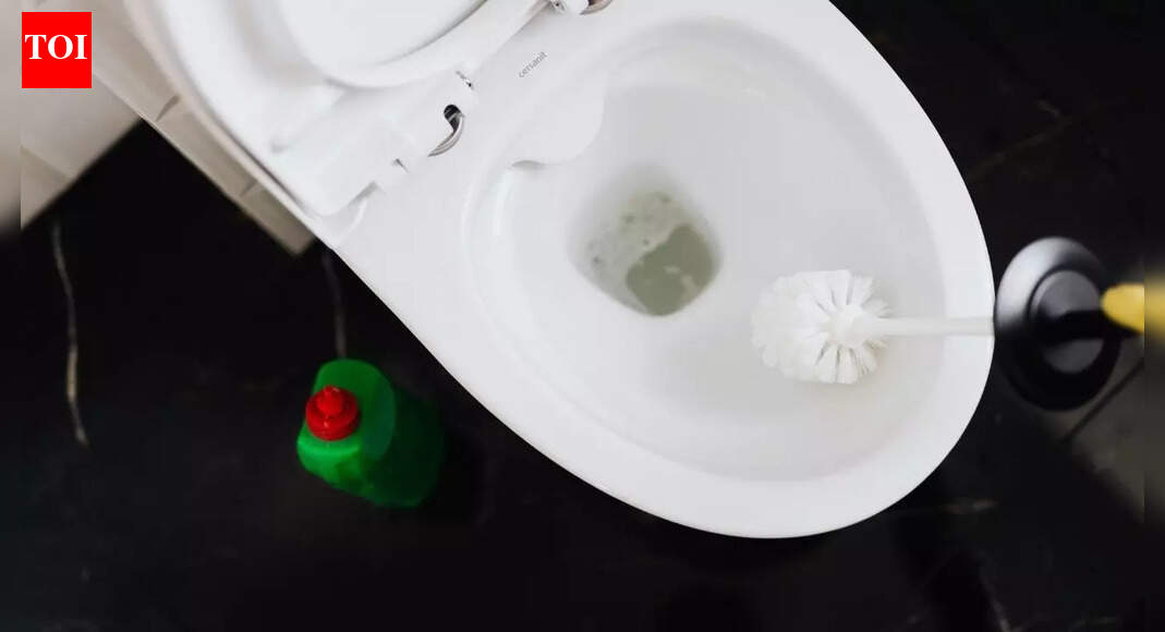 Easy ways to remove toilet bowl stains at home