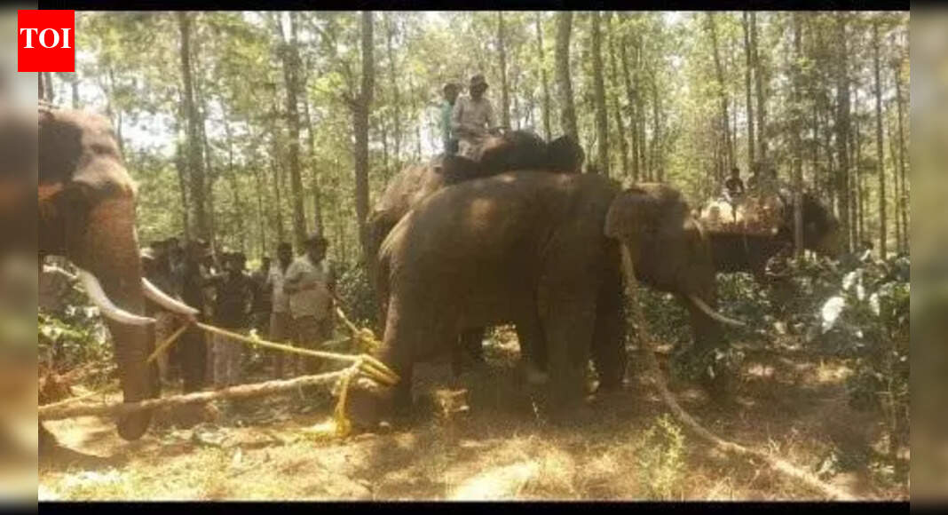 Adopt Colombo-model sanctuary to prevent human-elephant conflict in Malnad: Ex-MLA