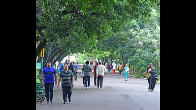 Mobility challenge: GBA’s Hejje-Gala to promote walking, cycling for short commute