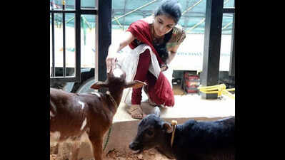 Early-warning tech for livestock: Gadvasu joins Rs 90cr research push