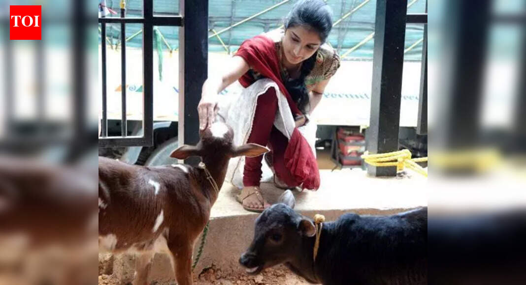 Early-warning tech for livestock: Gadvasu joins Rs 90cr research push | Ludhiana News