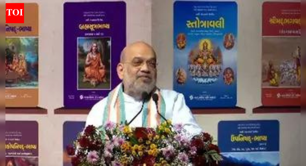 Adi Shankaracharya raised Sanatana Dharma banner high: Amit Shah