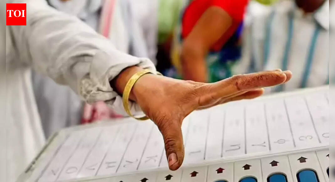 Maharashtra civic polls: 4-member panel system confuses electors; new voters most affected