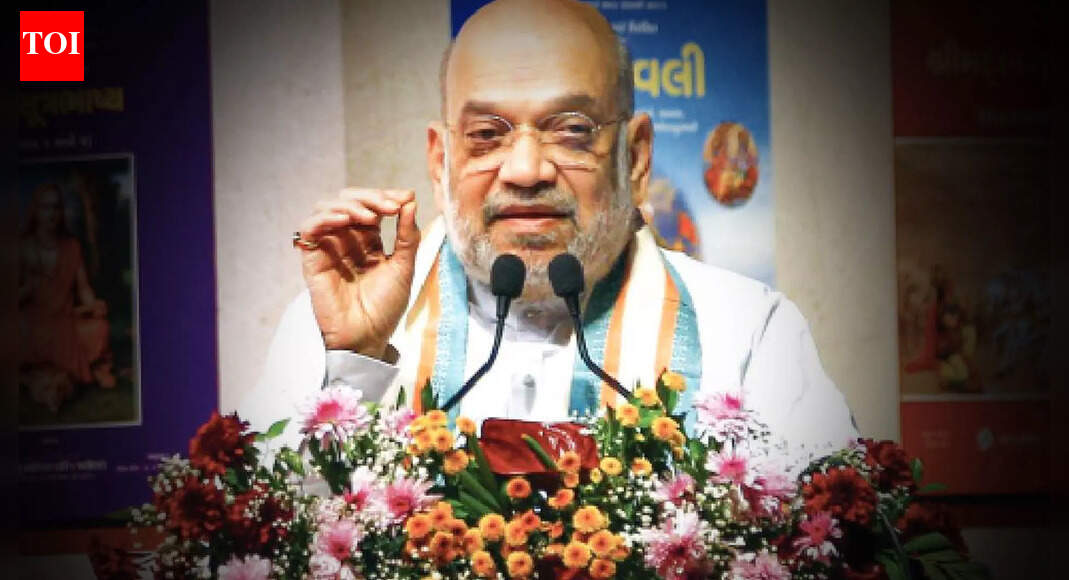 'Adi Shankaracharya Unified India Through Ideas', Says Amit Shah At Ahmedabad Granthavali Launch