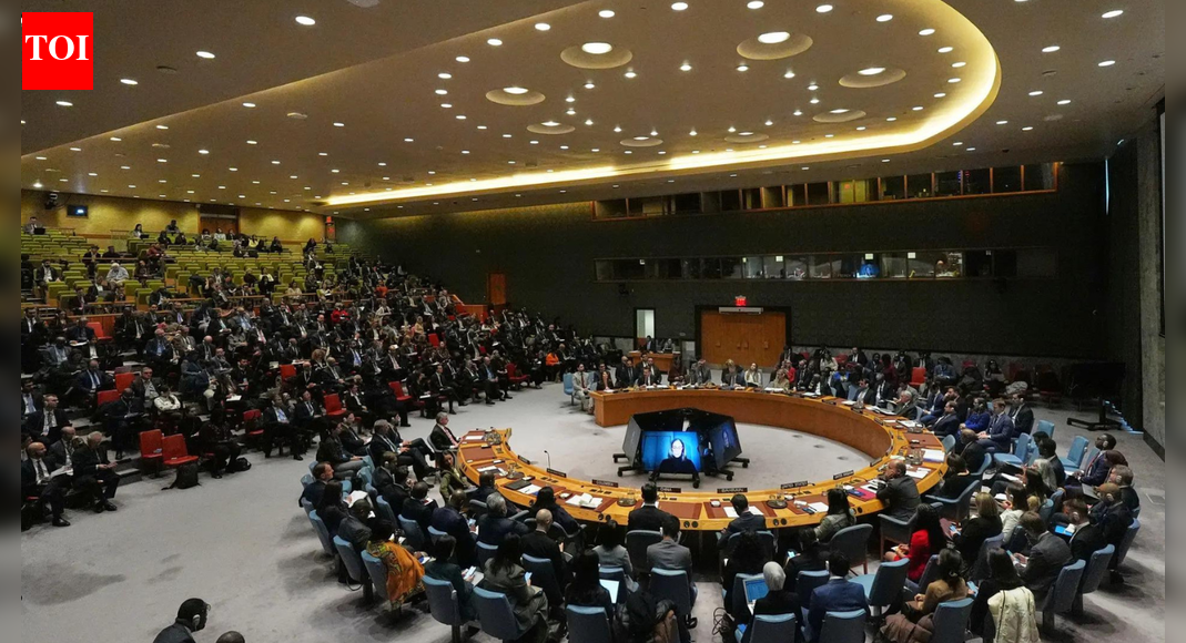 'Divisive agenda': India slams Pakistan at UN; responds to 'unwarranted' reference to J&K