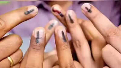 Nashik civic polls results highlights: Mahayuti ahead of Shiv Sena (UBT)-MNS; counting underway