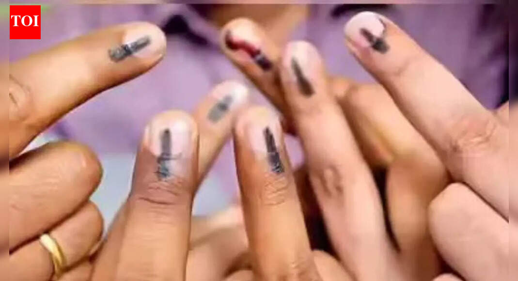 Nashik municipal corporation polls: Counting underway; Mahayuti leads in early trends